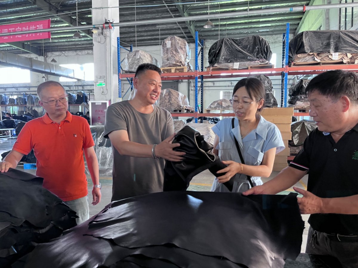 1691247301789593.jpg 1691247301789593.jpg